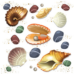 Shell
