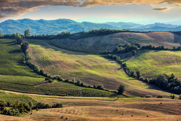 View of after harvest fields, Toscany, Italy