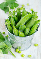 fresh pea pods in metallic bucket