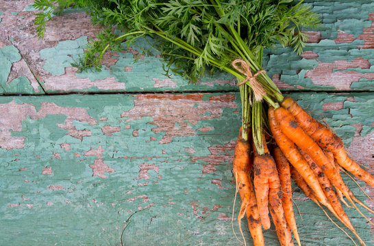 freshly picked carrots on wooden surface