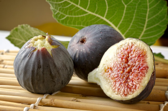 fichi