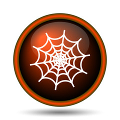 Spider web icon