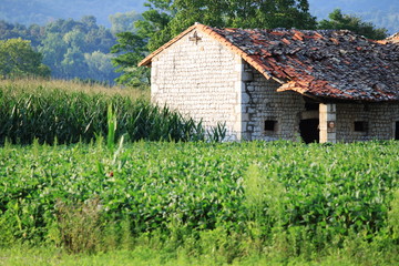 Fototapeta na wymiar Old house in the fields