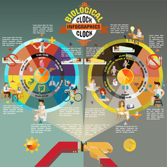Biological Clock Health And Medical Infographics.