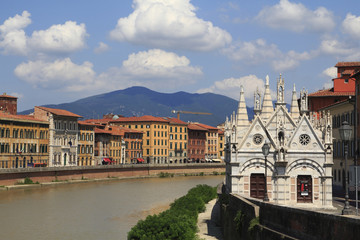 Naklejka premium Pisa city view