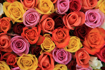 Fototapeta premium Wielobarwne róże ślubne