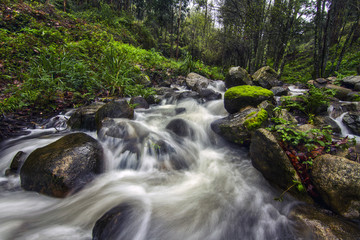 river stream on the beautiful Monchique