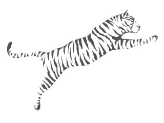 Fototapeta na wymiar Tiger Jump