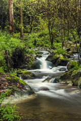 river stream on the beautiful Monchique
