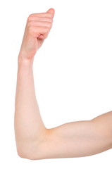 Slender woman showing her biceps. White background
