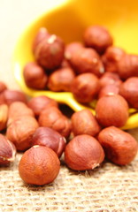 Hazelnut pouring out of yellow cup on jute canvas