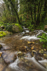 Fototapeta na wymiar river stream on the beautiful Monchique 