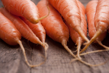 fresh carrot bunch on grungy wooden background