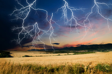 thunderstorm with lightning in wheat land