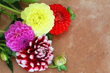 Colorful dahlia flowers on terracotta surface with copy space