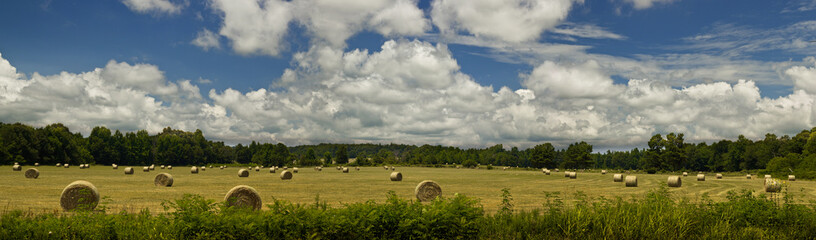 Hay in Field Panorama