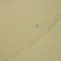 Sandy beach