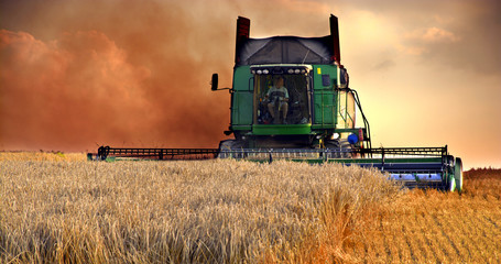 Combine harvester harvesting a field of wheat.