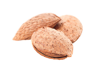 Almond nut