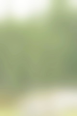 blurred green light background texture