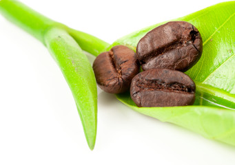 Closeup of coffee beans with focus on one