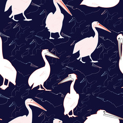 Fototapeta premium Pelican Seamless Pattern