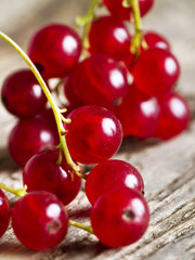 Red currant.