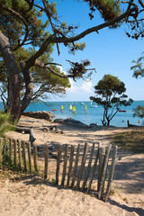 France > Vendée > Noirmoutier > Plage