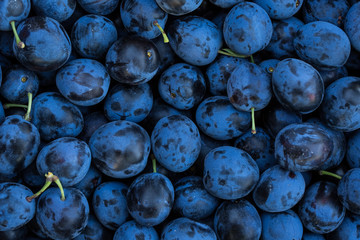 Ripe Plums Background