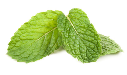 fresh mint leaves isolated on white background. Studio macro