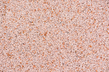Psyllium Seeds Background