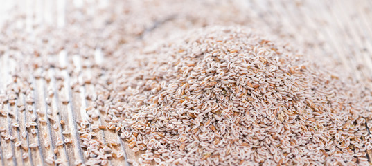 Psyllium Seeds