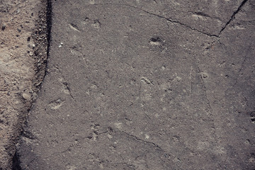 Fototapeta premium Concrete ground background texture