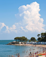 France > Vendée > Noirmoutier > Plage