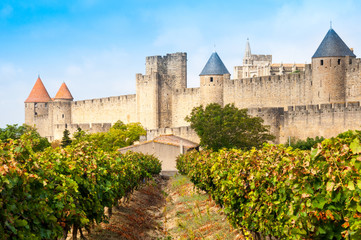 Fototapeta na wymiar Vineyards and medieval town of Carcassonne (France)