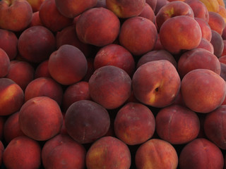 Frutas albaricoque