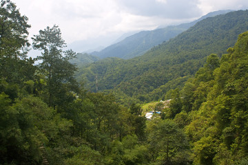 View to the jungle in Vietnam near Sapa