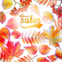 Autumn Calligraphy sale on detailed leafs.