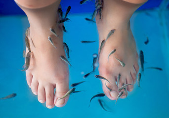 Fish spa feet pedicure skin care treatment with the fish rufa ga