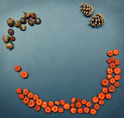 Autumn frame, pumpkins, cones, acorn