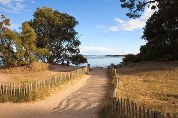 Obraz premium France > Vendée > Noirmoutier > Plage