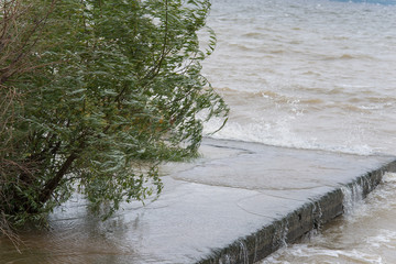 shore