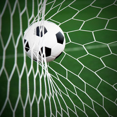 Fototapeta na wymiar soccer ball in goal net with green grass