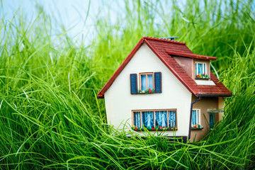 House on the green grass