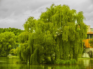 Schlossweiher