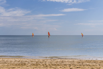 Windsurfers