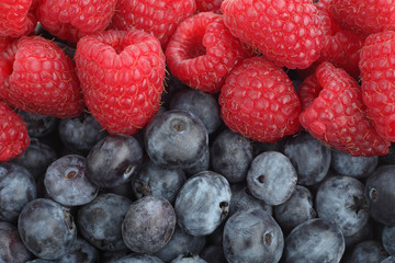 Raspberries and blueberries background. Berries.