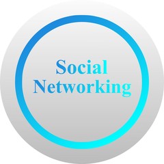 Social Networking icon (vector)