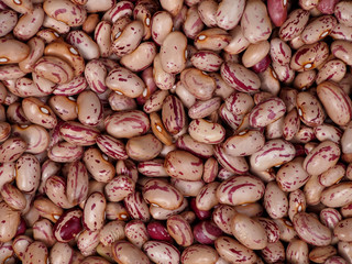 Borlotti beans (Cranberry beans, Shell beans)
