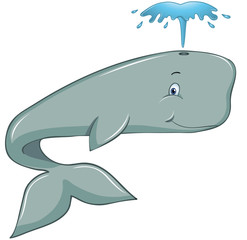 Pottwal mit Fontäne